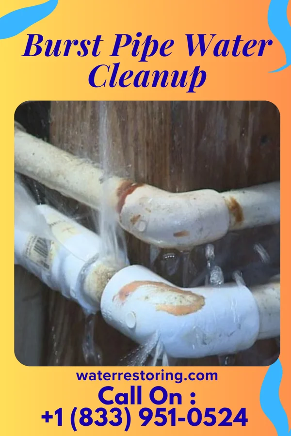 Burst Pipe Water Cleanup in Jacksonville, OH