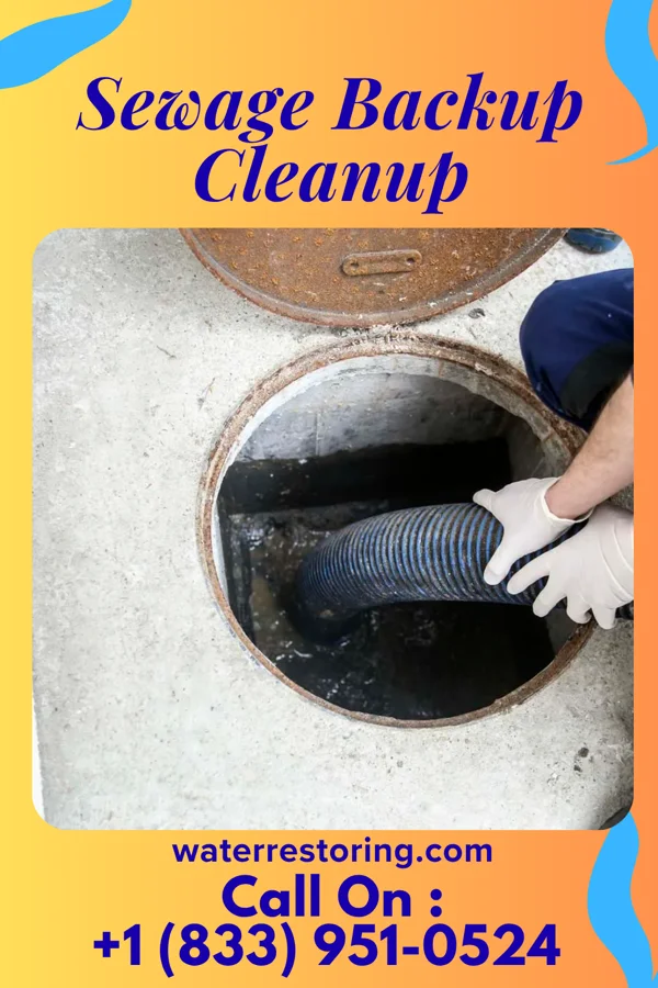 Sewage Backup Cleanup in Jacksonville, OH