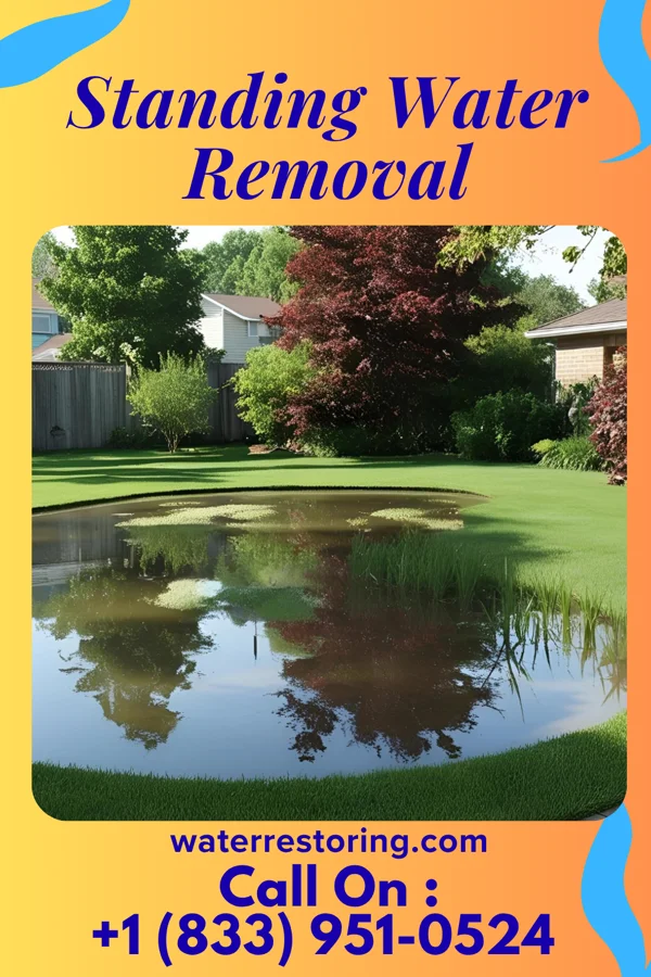 Standing Water Removal in Jacksonville, OH